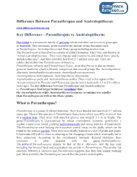 Difference Between Paranthropus and Australopithecus Key Difference - Paranthropus Vs Australopithecus