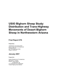 Distribution and Trans-Highway Movements of Desert Bighorn Sheep in Northwestern Arizona