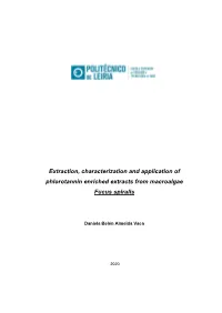 Extraction, Characterization and Application of Phlorotannin Enriched Extracts from Macroalgae Fucus Spiralis