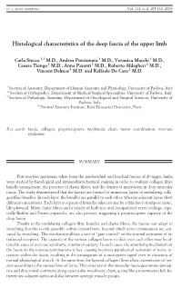 Histological Characteristics of the Deep Fascia of the Upper Limb
