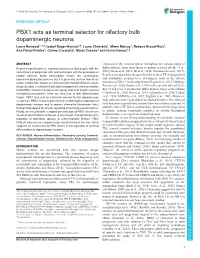 PBX1 Acts As Terminal Selector for Olfactory Bulb Dopaminergic Neurons