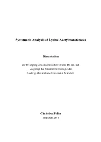 Systematic Analysis of Lysine Acetyltransferases