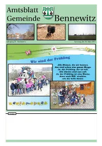 Amtsblatt Nr. 03/2015
