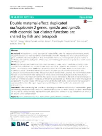Double Maternal-Effect: Duplicated Nucleoplasmin 2 Genes, Npm2a and Npm2b, with Essential but Distinct Functions Are Shared by Fish and Tetrapods Caroline T