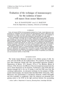 Evaluation of the Technique of Immunosurgery for the Isolation of Inner Cell Masses from Mouse Blastocysts