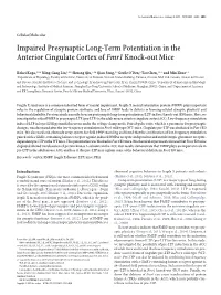 Impaired Presynaptic Long-Term Potentiation in the Anterior Cingulate Cortex of Fmr1 Knock-Out Mice