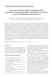 Movements of Western Alligator Snapping Turtles, Macrochelys Temminckii (Testudines, Chelydridae), in an Urban Ecosystem: Buffalo Bayou, Houston, Texas
