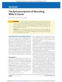 The Epitranscriptome of Noncoding Rnas in Cancer