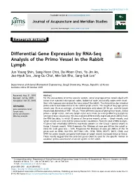 Differential Gene Expression by RNA-Seq Analysis of the Primo Vessel in the Rabbit Lymph