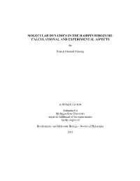 Molecular Dynamics in the Hairpin Ribozyme: Calculational and Experimental Aspects