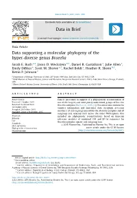 Data Supporting a Molecular Phylogeny of the Hyper-Diverse Genus Brueelia