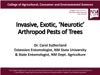 Invasive, Exotic, 'Neurotic' Arthropod Pests of Trees