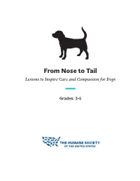 Nose-To-Tail