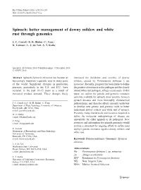 Spinach: Better Management of Downy Mildew and White Rust Through Genomics