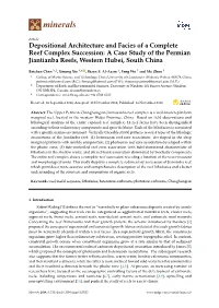 Depositional Architecture and Facies of a Complete Reef Complex Succession: a Case Study of the Permian Jiantianba Reefs, Western Hubei, South China