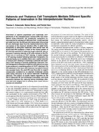 Habenula and Thalamus Cell Transplants Mediate Different Specific Patterns of Innervation in the Lnterpeduncular Nucleus