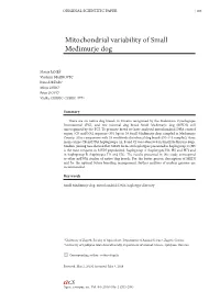 Mitochondrial Variability of Small Međimurje Dog