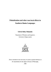 Palatalization and Other Non-Local Effects in Southern Bantu Languages
