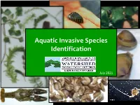 VIP AIS Species Presentation