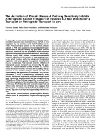 3053.Full.Pdf