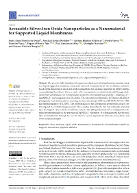 Accessible Silver-Iron Oxide Nanoparticles As a Nanomaterial for Supported Liquid Membranes