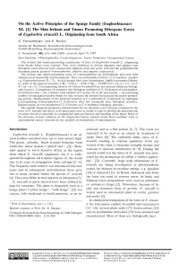 Euphorbiaceae) XI