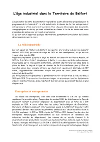 L'âge Industriel Dans Le Territoire De Belfort