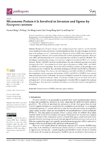 Microneme Protein 6 Is Involved in Invasion and Egress by Neospora Caninum