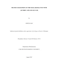 Protein Crosslinking by the Maillard Reaction With