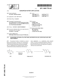 Valencene Synthase Polypeptides, Encoding Nucleic Acid Molecules and Uses Thereof