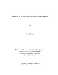 By Chiara Frigeni a Thesis Submitted in Conformity with the Requirements