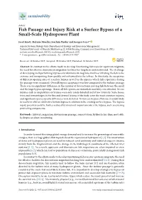 Fish Passage and Injury Risk at a Surface Bypass of a Small-Scale Hydropower Plant