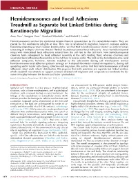 Hemidesmosomes and Focal Adhesions Treadmill As Separate but Linked Entities During Keratinocyte Migration Anne Pora1, Sungjun Yoon1, Reinhard Windoffer1 and Rudolf E