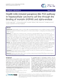 Hep88 Mab-Initiated Paraptosis-Like PCD Pathway in Hepatocellular