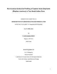 Non-Invasive Endocrine Profiling of Captive Asian Elephants (Elephas Maximus) in Two South Indian Zoos