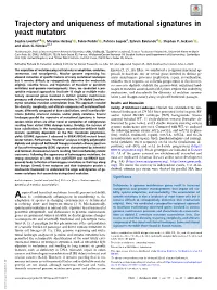 Trajectory and Uniqueness of Mutational Signatures in Yeast Mutators