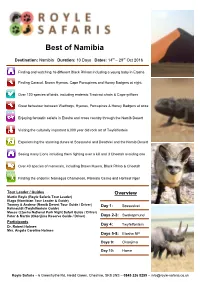 Best of Namibia