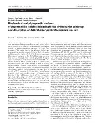 Biochemical and Phylogenetic Analyses of Psychrophilic Isolates Belonging to the Arthrobacter Subgroup and Description of Arthrobacter Psychrolactophilus, Sp