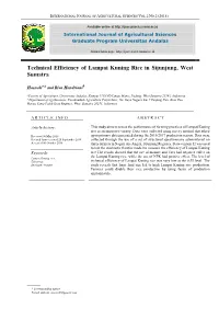 Technical Efficiency of Lampai Kuning Rice in Sijunjung, West Sumatra
