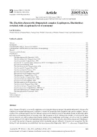 The Elachista Dispunctella (Duponchel) Complex (Lepidoptera, Elachistidae) Revisited, with Exceptional Level of Synonymy