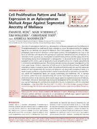 Cell Proliferation Pattern and Twist Expression in an Aplacophoran