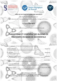 Page De Garde V3