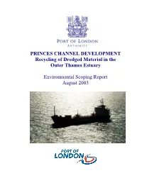 PRINCES CHANNEL DEVELOPMENT Recycling of Dredged Material in the Outer Thames Estuary