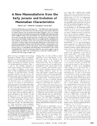A New Mammaliaform from the Early Jurassic and Evolution Of