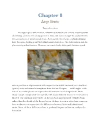 Chapter 8 Large Strains