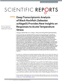 Deep Transcriptomic Analysis of Black Rockfish (Sebastes Schlegelii)
