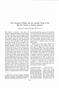 The Taxonomic Position and the Scientific Name of the Big Tree Known As Sequoia Gigantea
