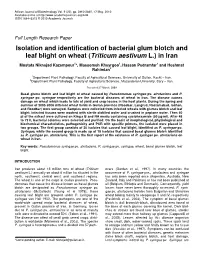 Isolation and Identification of Bacterial Glum Blotch and Leaf Blight on Wheat (Triticum Aestivum L.) in Iran