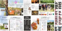 L'art De Vivre Le