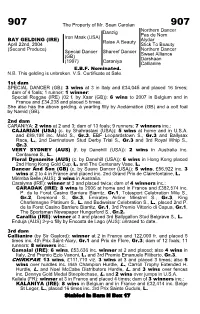 The Property of Mr. Sean Carolan Danzig Northern Dancer Pas